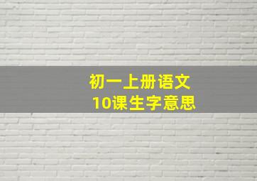 初一上册语文10课生字意思