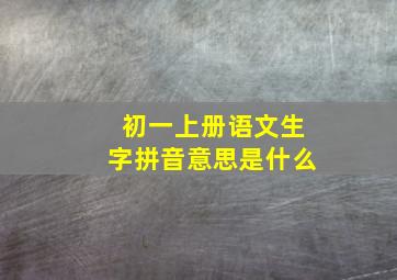 初一上册语文生字拼音意思是什么