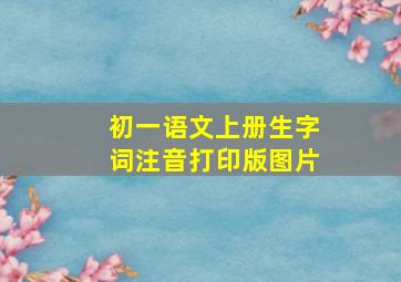 初一语文上册生字词注音打印版图片