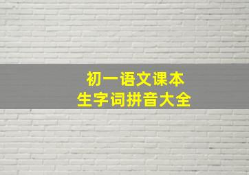 初一语文课本生字词拼音大全