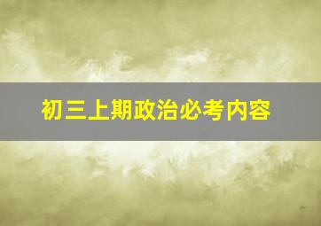 初三上期政治必考内容