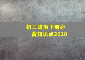 初三政治下册必背知识点2020