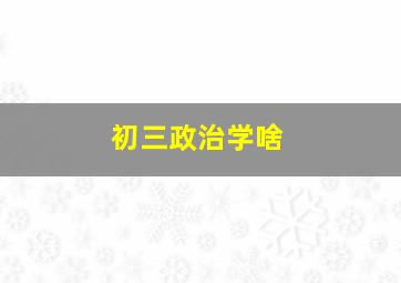 初三政治学啥