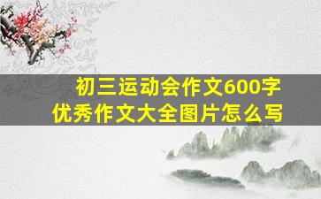 初三运动会作文600字优秀作文大全图片怎么写