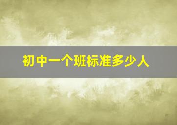 初中一个班标准多少人