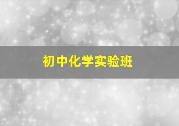 初中化学实验班