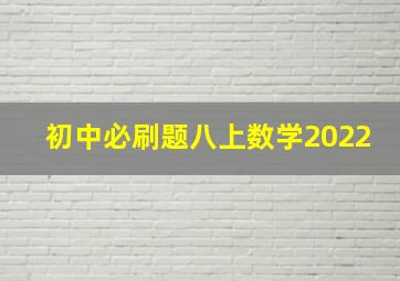 初中必刷题八上数学2022