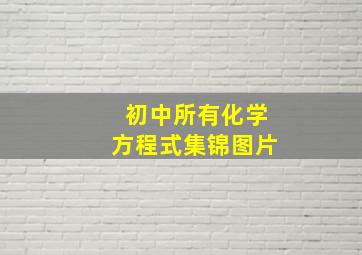 初中所有化学方程式集锦图片