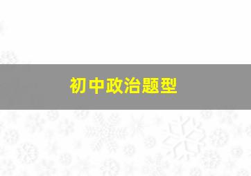 初中政治题型