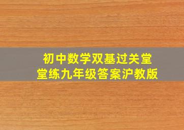 初中数学双基过关堂堂练九年级答案沪教版