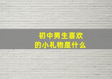 初中男生喜欢的小礼物是什么