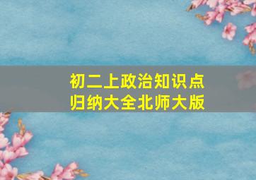 初二上政治知识点归纳大全北师大版