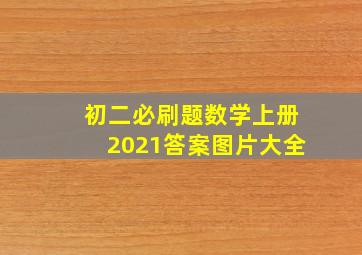 初二必刷题数学上册2021答案图片大全