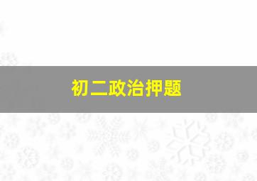 初二政治押题