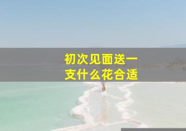 初次见面送一支什么花合适