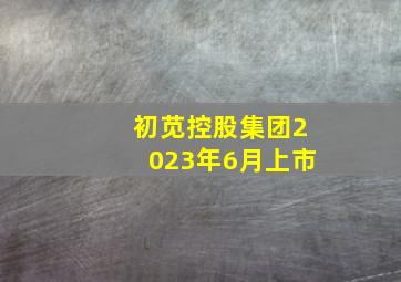 初苋控股集团2023年6月上市