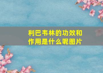 利巴韦林的功效和作用是什么呢图片