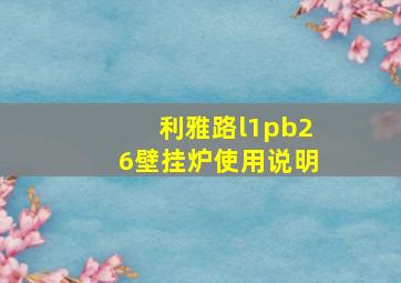 利雅路l1pb26壁挂炉使用说明