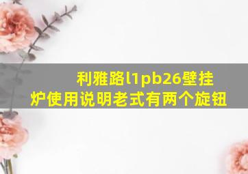 利雅路l1pb26壁挂炉使用说明老式有两个旋钮