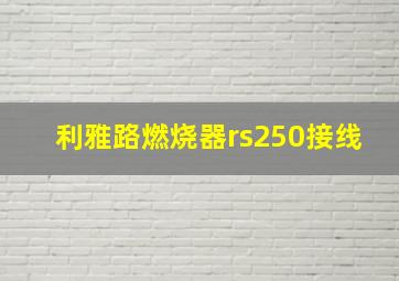 利雅路燃烧器rs250接线