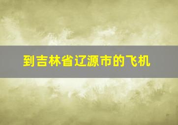 到吉林省辽源市的飞机