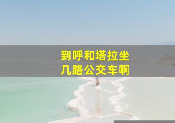 到呼和塔拉坐几路公交车啊