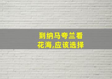 到纳马夸兰看花海,应该选择