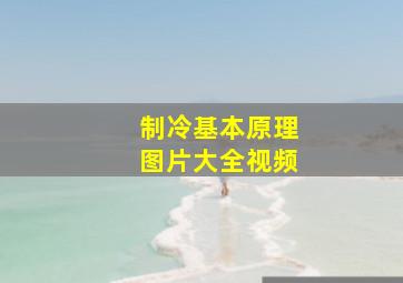 制冷基本原理图片大全视频