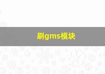 刷gms模块