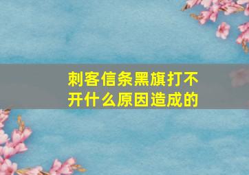 刺客信条黑旗打不开什么原因造成的