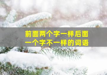 前面两个字一样后面一个字不一样的词语