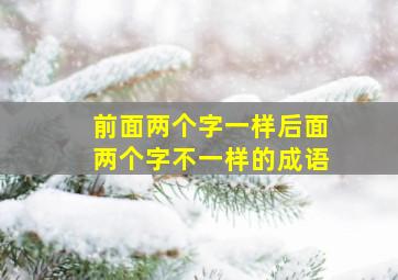 前面两个字一样后面两个字不一样的成语