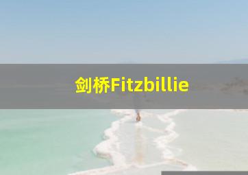 剑桥Fitzbillie