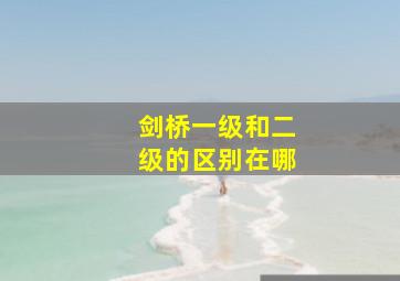 剑桥一级和二级的区别在哪