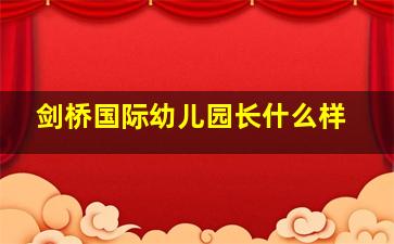 剑桥国际幼儿园长什么样