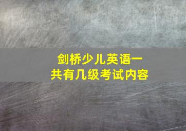 剑桥少儿英语一共有几级考试内容