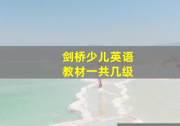 剑桥少儿英语教材一共几级