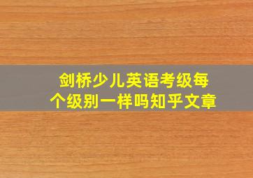 剑桥少儿英语考级每个级别一样吗知乎文章