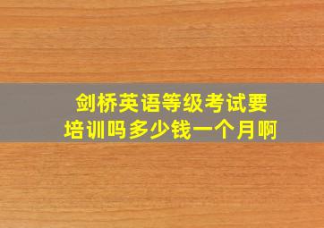 剑桥英语等级考试要培训吗多少钱一个月啊