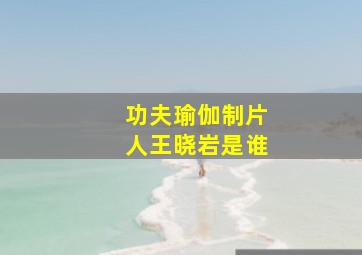 功夫瑜伽制片人王晓岩是谁