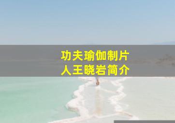 功夫瑜伽制片人王晓岩简介