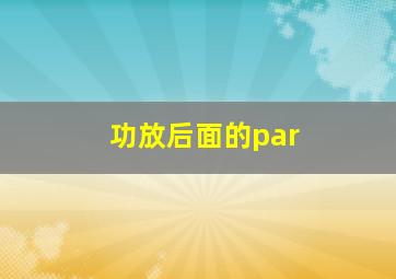 功放后面的par