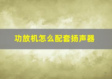 功放机怎么配套扬声器