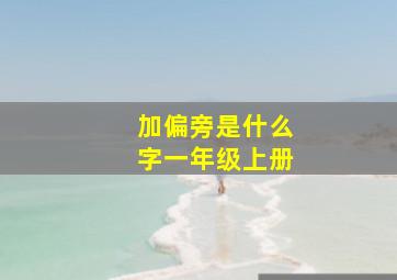 加偏旁是什么字一年级上册