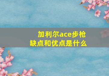 加利尔ace步枪缺点和优点是什么