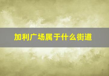 加利广场属于什么街道