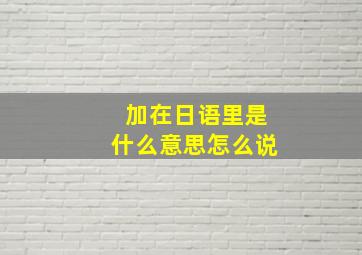 加在日语里是什么意思怎么说