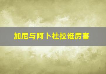 加尼与阿卜杜拉谁厉害