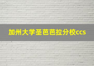 加州大学圣芭芭拉分校ccs