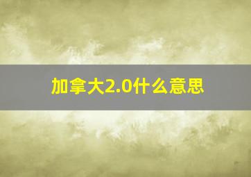 加拿大2.0什么意思